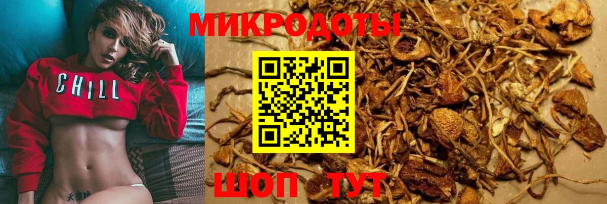 Псилоцибиновые грибы Psilocybine cubensis  Вход с VPN  Кисловодск  Галлюциногенные грибы Psilocybe 
