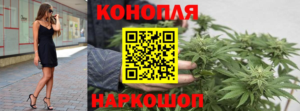 Бошки марихуана Amnesia Кисловодск